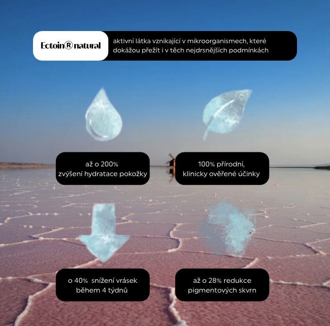 Snímek obrazovky 2025-11-13 v 18.03.46